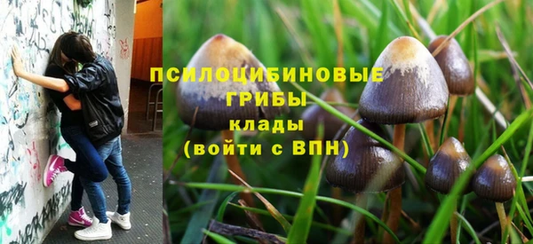 стафф Абинск