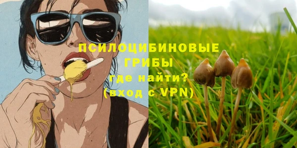 стафф Абинск